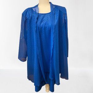 Vintage 2 piece Textured Blue Dress & Mesh Shawl 22W